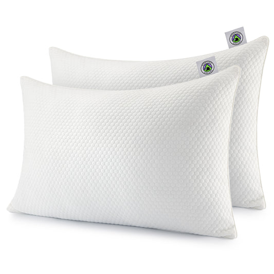 Martian Dreams LunaCore™ Hybrid Luxury Pillow - 2 Pack
