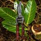 Kingswood Green Traditional Bypass Secateurs