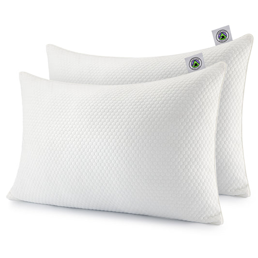 Martian Dreams Hybrid Luxury Pillow - 2 Pack