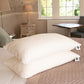 Martian Dreams Pillow Protectors